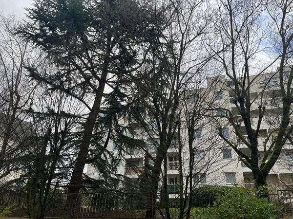 Beau 2 pièces lumineux de 50m² Saint-Fargeau