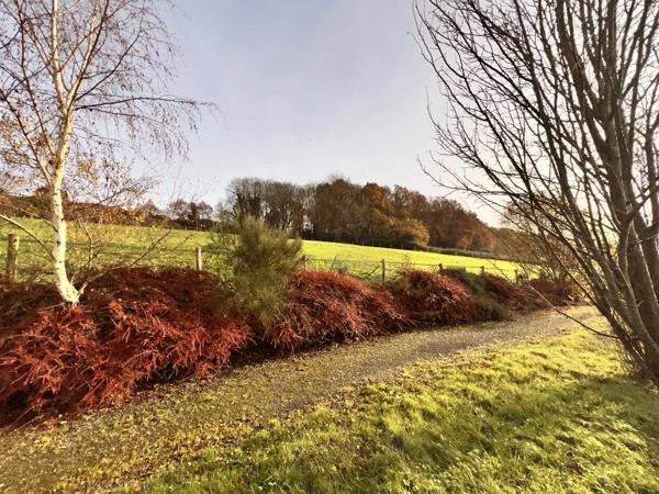 Propriété équestre idéale pour particuliers