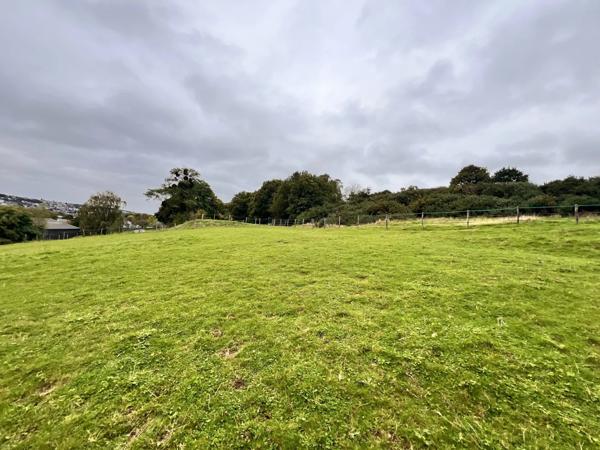 Propriété équestre idéale pour particuliers