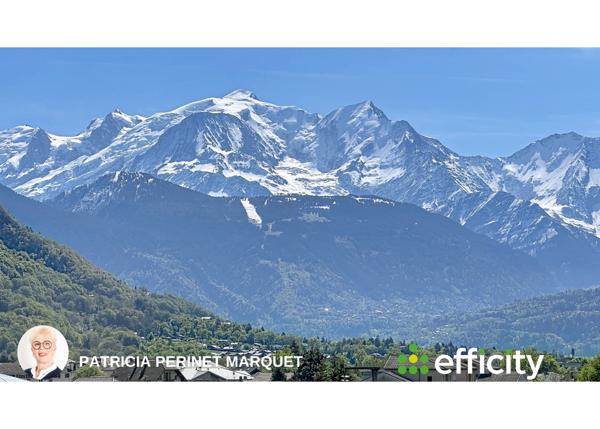 Appartement 7 pièces - 151 m² Bien prestige