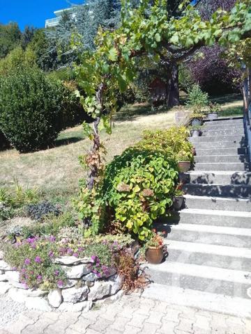 Maison à vendre  7 pièces - 162 m 2   VOIRON  - 38