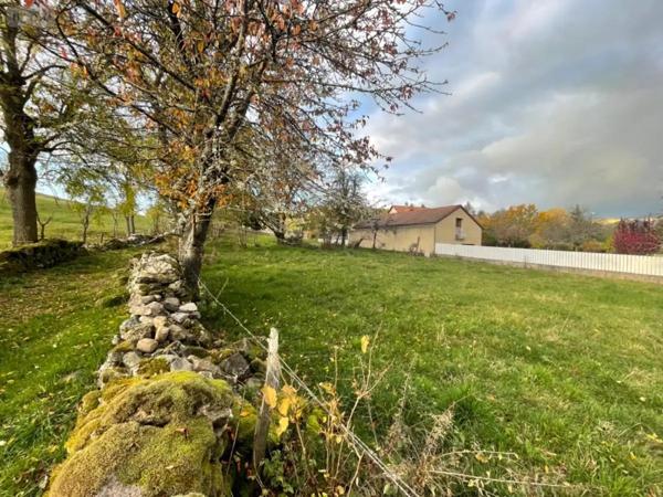 Achat - Terrain à bâtir Le Malzieu-Ville 48140 2732 m 2