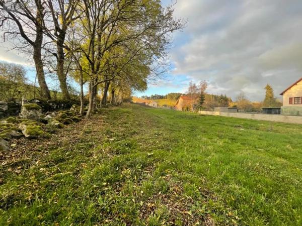 Achat - Terrain à bâtir Le Malzieu-Ville 48140 2732 m 2