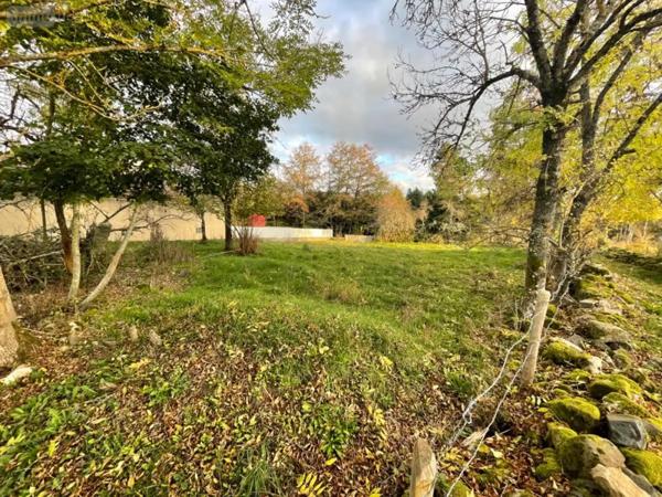 Achat - Terrain à bâtir Le Malzieu-Ville 48140 2732 m 2