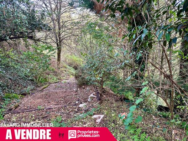 Grande maison familiale 238 m² - 7 chambres - jardin & garages - Brive-la-Gaillarde