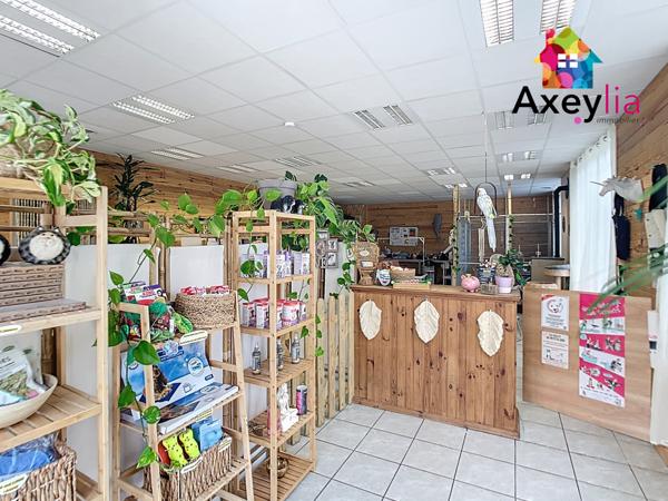 Mably (42300) A VENDRE - MABLY - MAISON AVEC LOCAL COMMERCIAL, TERRAIN ARBORÉ ET DÉPENDANCES