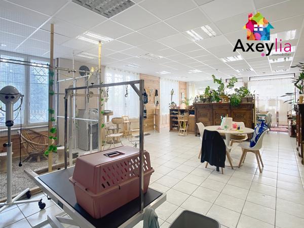 Mably (42300) A VENDRE - MABLY - MAISON AVEC LOCAL COMMERCIAL, TERRAIN ARBORÉ ET DÉPENDANCES