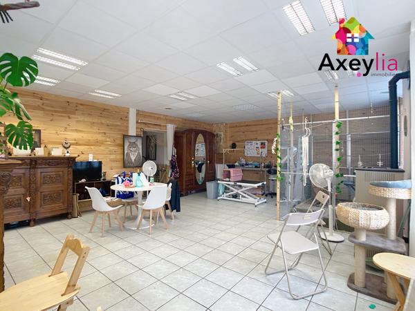 Mably (42300) A VENDRE - MABLY - MAISON AVEC LOCAL COMMERCIAL, TERRAIN ARBORÉ ET DÉPENDANCES