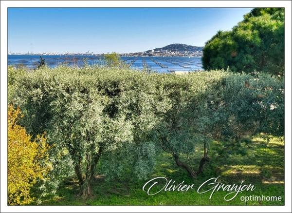 Bouzigues – Vue exceptionnelle sur le Mont Saint-Clair