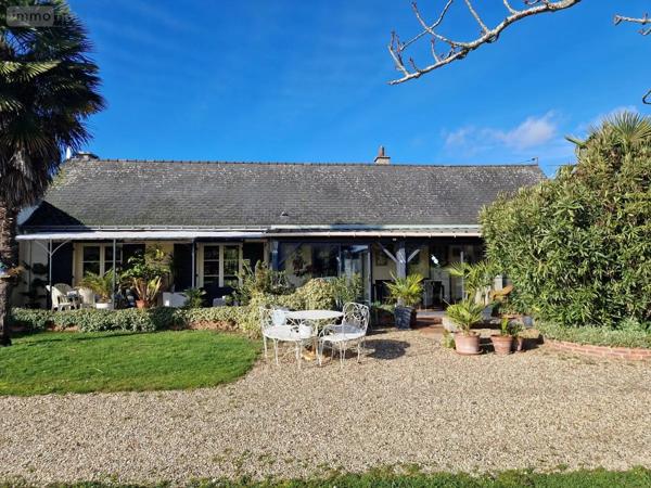 Achat - Maison Loire-Authion 49250 7 pièces 169 m 2 1745 m 2