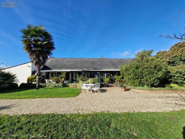 Achat - Maison Loire-Authion 49250 7 pièces 169 m 2 1745 m 2