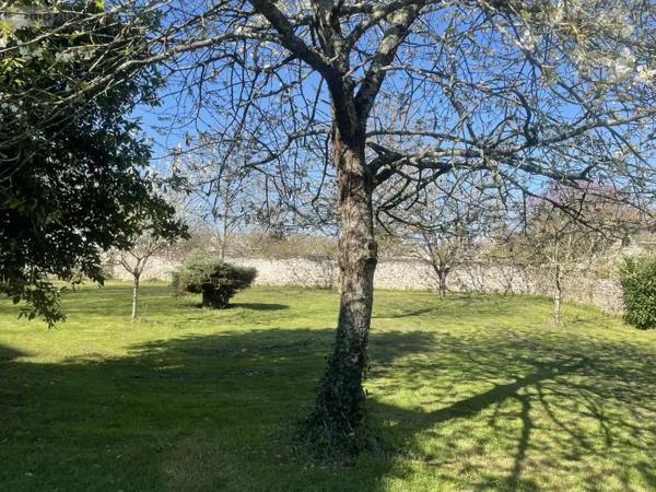 Achat - Maison Saint-Hilaire-Saint-Florent 49400 10 pièces 300 m 2 3839 m 2