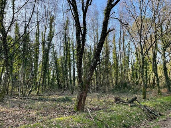 Terrain à Guer, 56380 - 11290m²