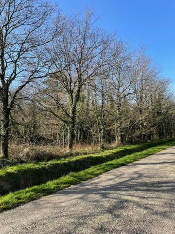 Terrain à Guer, 56380 - 11290m²