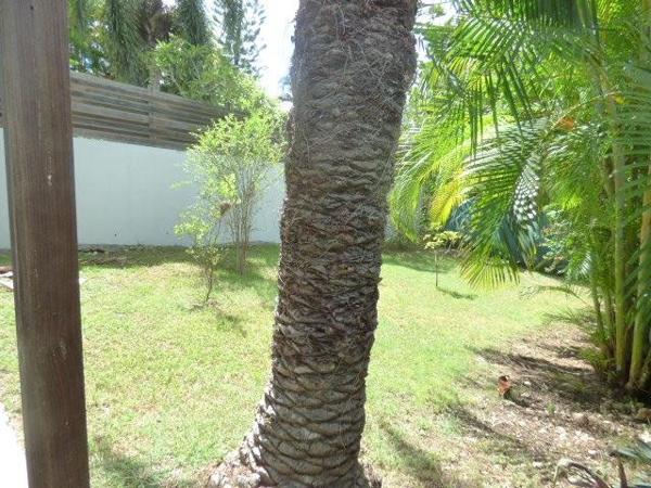 Vente / Propriété à Saint-François (97118)