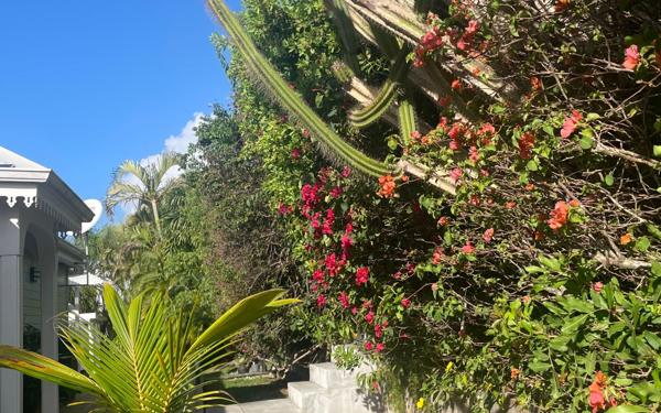 Maison à vendre    5 pièces • 141 m2 Sainte-Anne