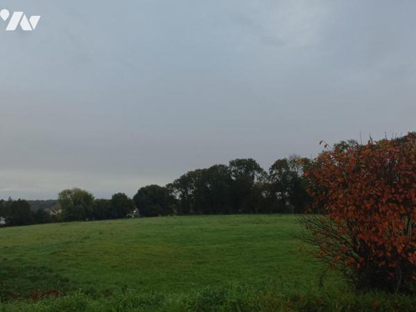 Terrain constructible