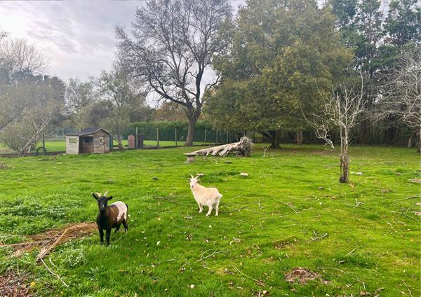 Maison 4 chambres avec piscine et jacuzzi - Saint-Gervais