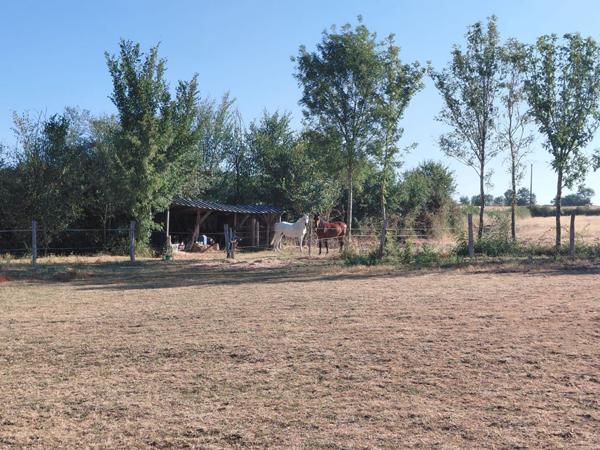 Maison spacieuse de 6 pièces à vendre à Bridore