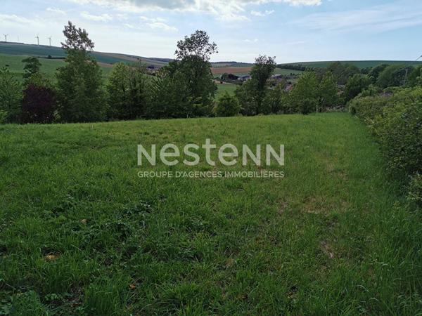 Terrain Constructible Widehem