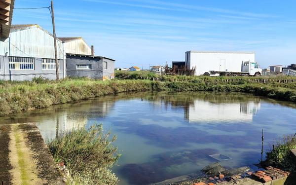 Maison à vendre    1 pièce •  La Tremblade