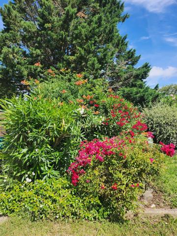 Belle maison d'architecte - avec possibilité de cabinet indépendant (idéal pour profession libérale) - à vendre à Bias - Lot-et-Garonne (47),