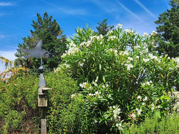 Belle maison d'architecte - avec possibilité de cabinet indépendant (idéal pour profession libérale) - à vendre à Bias - Lot-et-Garonne (47),