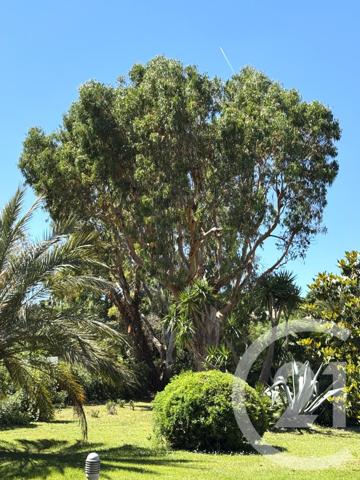 Appartement Studio à vendre  1 pièce - 25 m2 ST TROPEZ - 83