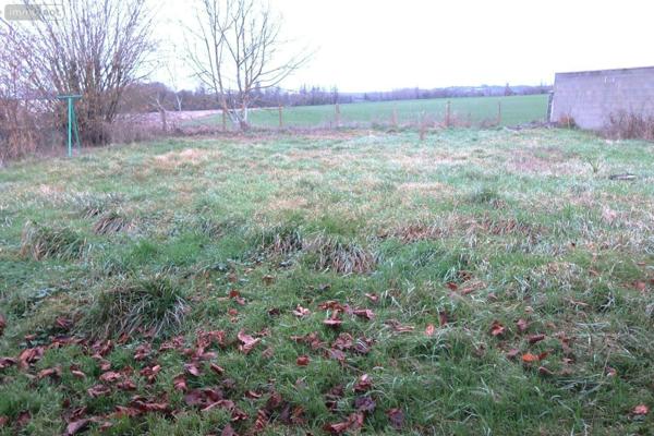 Pavillon à louer à Availles-en-Châtellerault dans la Vienne (86530), ref : 86024-MAIS2430