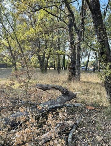 Terrain Constructible Salernes 10 a 72 ca