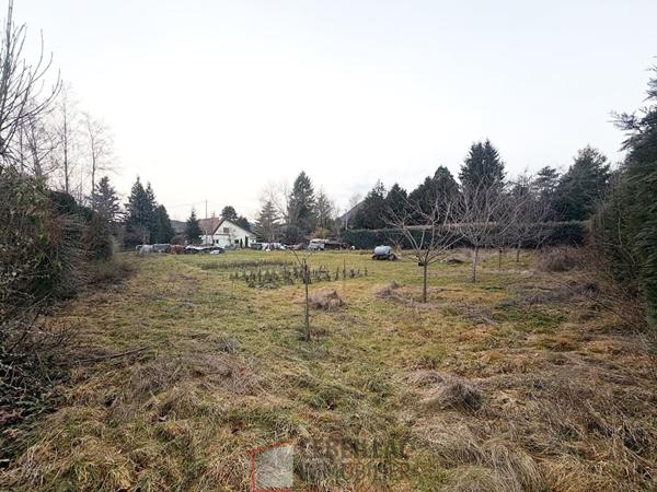 Terrain