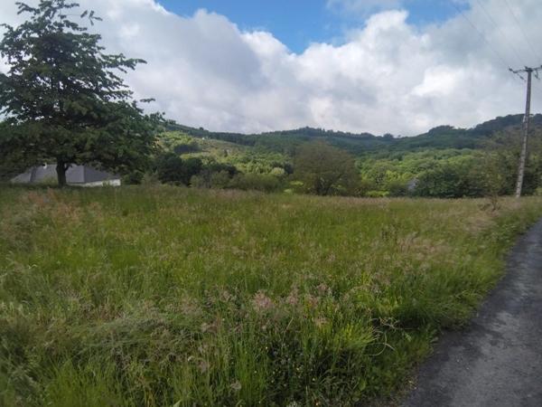 Terrain à vendre 21 000 € Sainte-Fortunade 2190 m² DPE