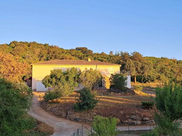 Maison de plain pied 5 chambres, piscine, sans vis-à-vis, terrain 5540 m2 à SAN NICOLAO (HAUTE CORSE)