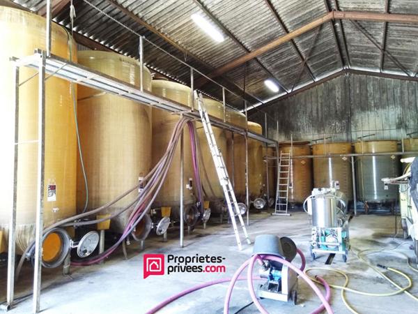 Propriété viticole 13ha vignes + 20ha terres + chai + matériel + maison 6p 170 m² + longère 160 m²