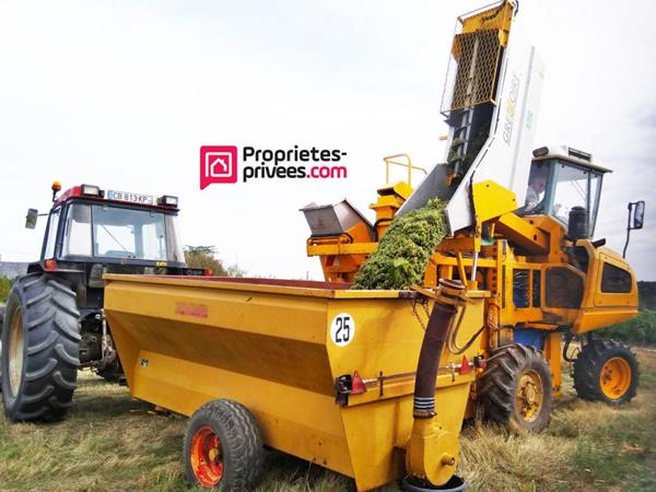 Propriété viticole 13ha vignes + 20ha terres + chai + matériel + maison 6p 170 m² + longère 160 m²