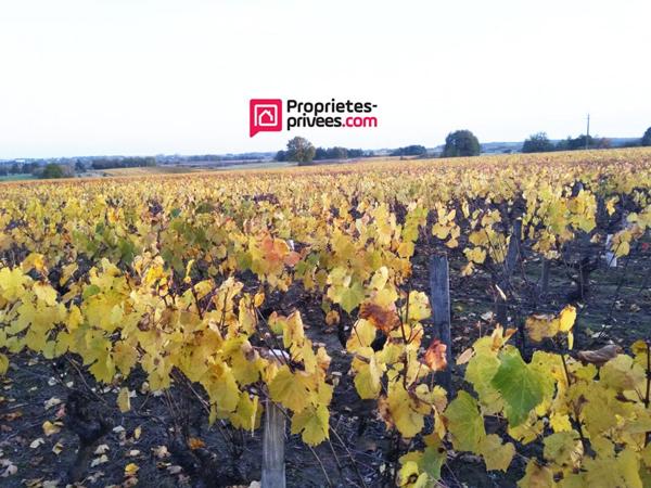 Propriété viticole 13ha vignes + 20ha terres + chai + matériel + maison 6p 170 m² + longère 160 m²