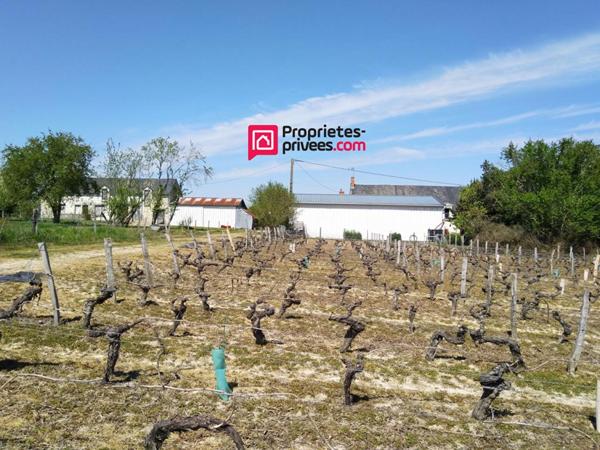 Propriété viticole 13ha vignes + 20ha terres + chai + matériel + maison 6p 170 m² + longère 160 m²