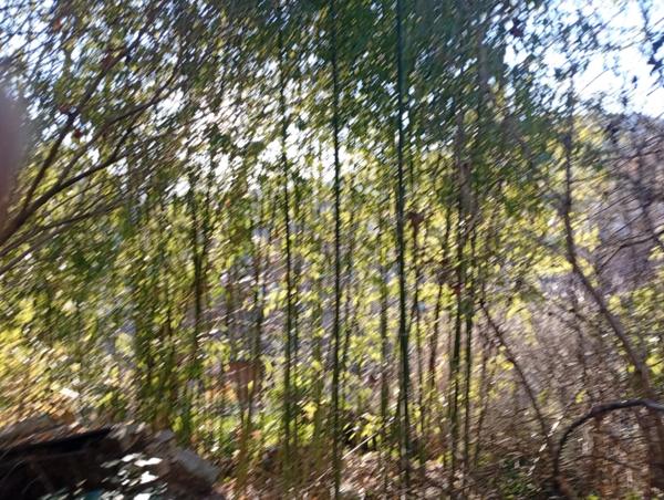 Maison à vendre 6 pièces (09)