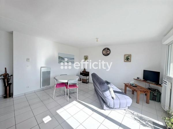 Appartement 3 pièces - 55 m²