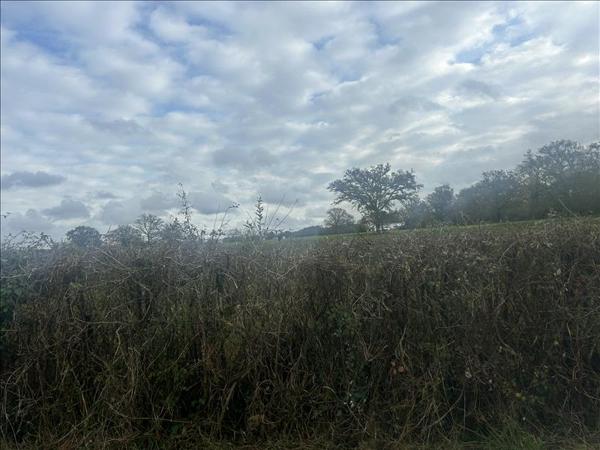 Terrain à vendre |  La Châtre-Langlin |  137519 m²