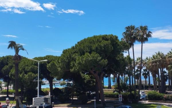 Vente Appartement P3 sur la Croisette Cannes   