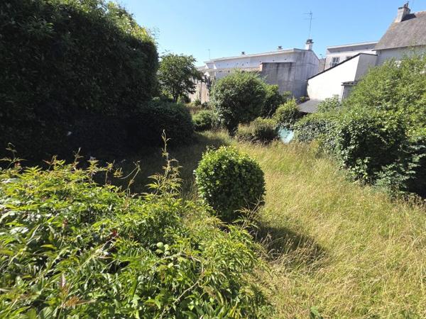 Vente / Terrain