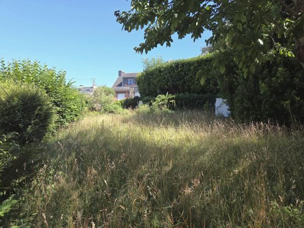 Vente / Terrain
