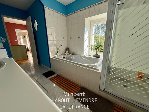 Maison à vendre 11 pièces ETRICHE (49)