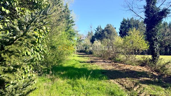 Vente
                Terrain3900 m² - MONTBETON (82290)