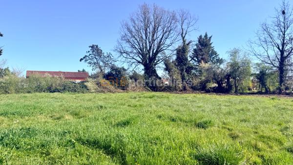 Vente
                Terrain3900 m² - MONTBETON (82290)