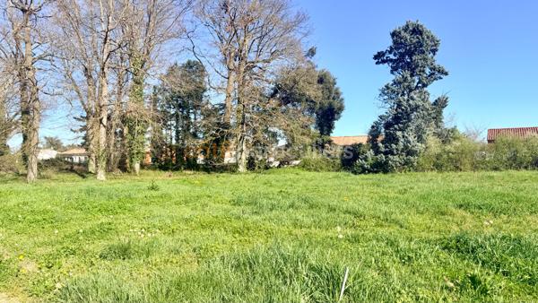Vente
                Terrain3900 m² - MONTBETON (82290)