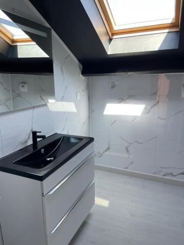 Maison entièrement rénovée Aniche 5 pièce(s) 115 m2