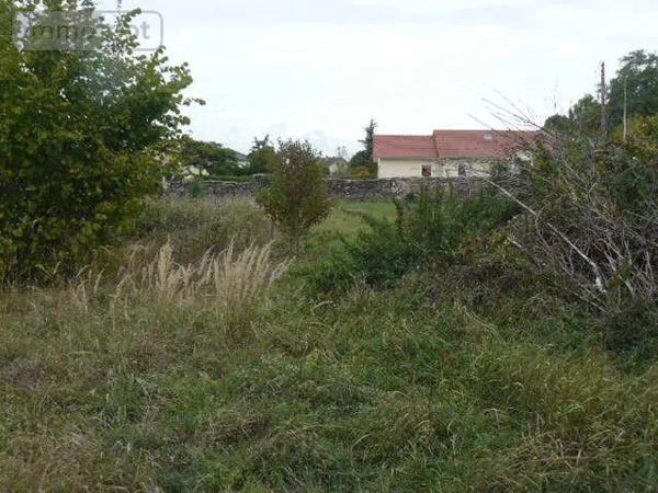 Achat - Terrain à bâtir | Terrain à bâtir Rambervillers 88700 1984 m 2 1984 m 2