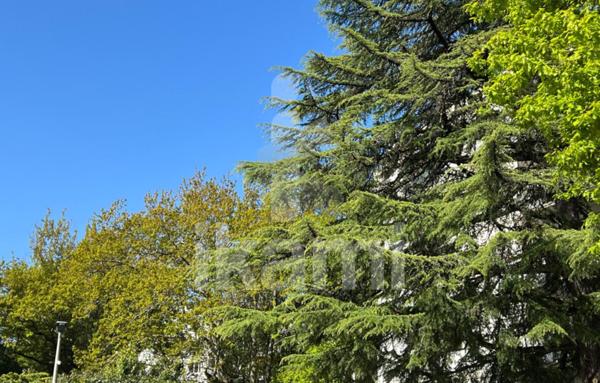 Appartement de 101 m²